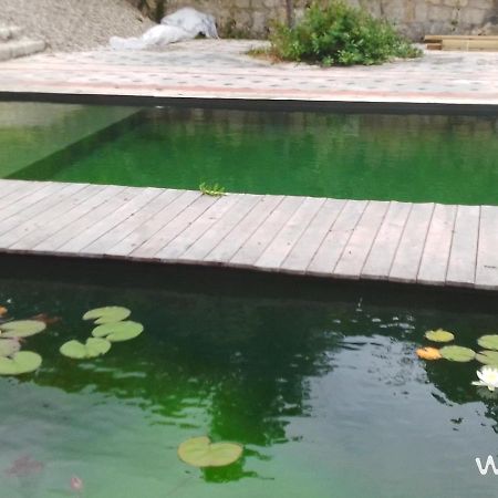 Gite Les Cabanes De Fallot Pour 15 Personnes - Piscine Naturelle L'isle-Bouzon Exterior photo