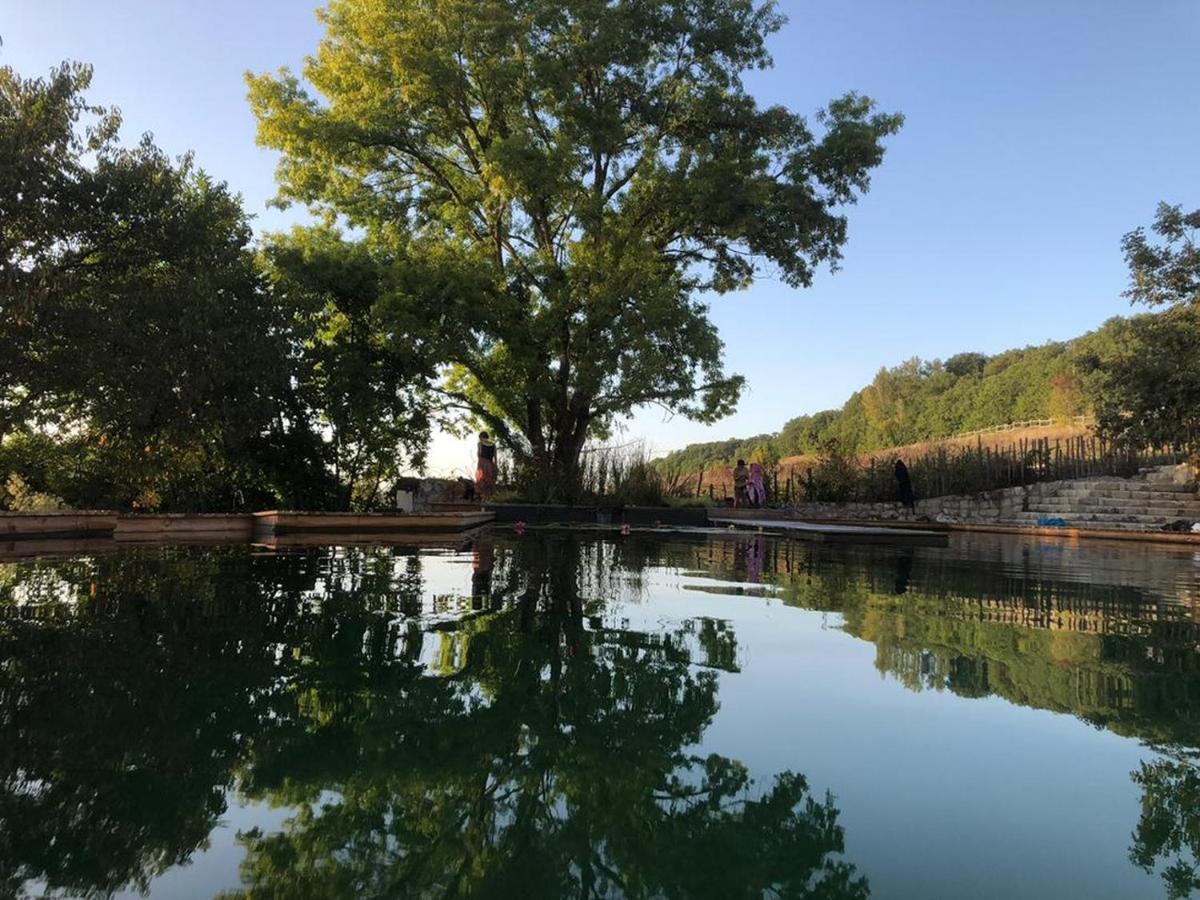 Gite Les Cabanes De Fallot Pour 15 Personnes - Piscine Naturelle L'isle-Bouzon Exterior photo